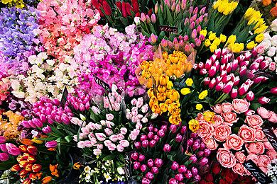 科乐美音游《超疯狂节奏城堡》11月4日登陆多平台 名曲太多