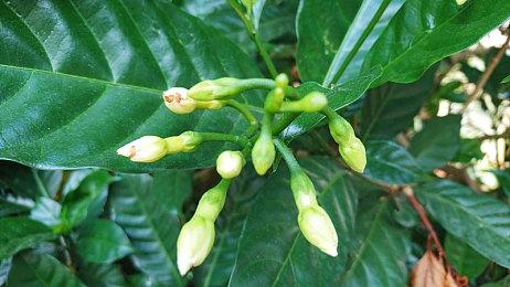 《真三国无双2》复刻版预告 2026年3月19日发售