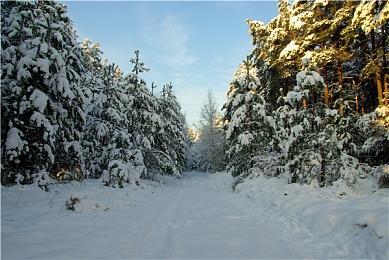 一款含战棋的AVG？潜力新游《夏夜的魔法门》试玩版正在Steam开放中！